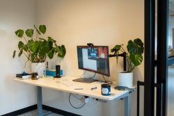 Standing desk with plant life