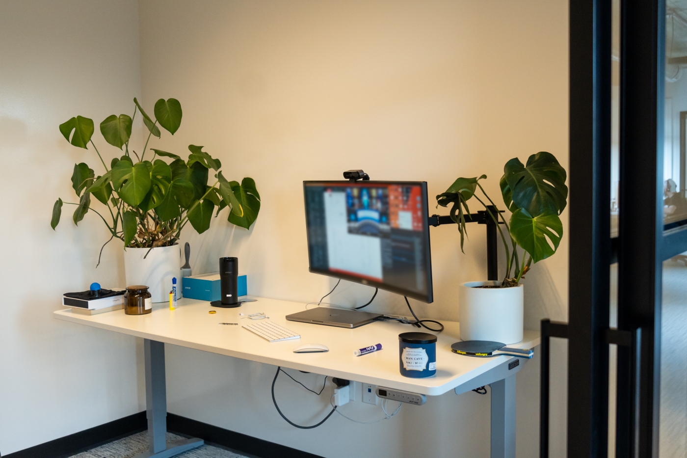 Standing desk with plant life